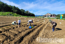 서울시, 서울 근교 14곳 5,900구획 친환경농장… 건강한 먹거리 직접 생산 기회 제공