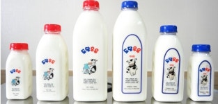 강성원우유와 도담우유, 세균 초과로 부적합