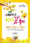 이천 백사 산수유꽃 축제 4년만에 개최