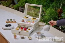 파르나스 호텔 제주, 봄맞이 F&B 프로모션 3종 출시