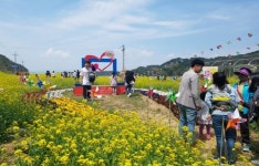 고현면봄나들이 함께 해봄축제로 오세요~