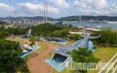 문체부 X 관광공사, 2023 반려동물 친화관광도시에 울산광역시, 태안군 선정