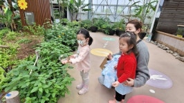 창녕생태곤충원 어린이날 특별이벤트 성황리에 마쳐