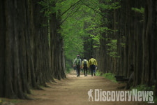 서울시, 둘레길에 대한 어려움 낮추기 위해 숲길전문가와 걸어보는 코스가이드 운영