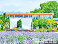 대한민국 구석구석. 보랏빛 향기로 물든 국내 라벤더 명소 4선