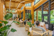 서울관광재단, 숲, 책, 물, 테마의 서울 속 여름철 피서지 3선 공개