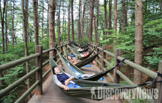 대한민국 구석구석. 8월에 가볼 만한 곳… 청량한 숲 여행지 5선