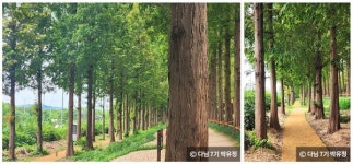 대한민국 구석구석. 도심에서 자연을 즐기는 서울 숲길 4선