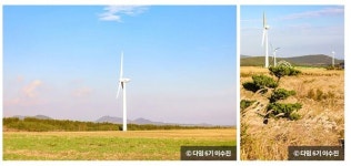 대한민국 구석구석. 은빛 물결의 제주도 억새 명소 4선