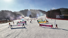 모나 용평, 금일 11월 24일 4일 핑크슬로프 시작으로 스키장 첫 개장