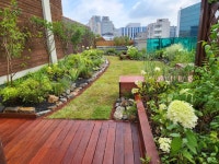 서울시, 옥상정원 조성사업 진행.. 도심 건물 옥상 매력가든으로 만든다