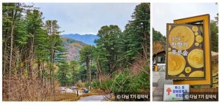 대한민국 구석구석 . 겨울에도 피톤치드 가득한 푸른숲 4선