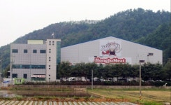 홍성 홍주미트 출하 돼지 가검물에서 돼지단독 세균질환 확인