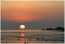 영종도 현미네 조개구이, 24년 전통의 맛... 맛과 정성이 가득