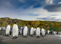 헤븐스 포트폴리오, 쿼크 엑스페디션과 함께 남극∙북극으로 떠나는 조금 다른여행 소개