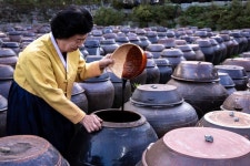 코레일관광개발-농림축산식품부-한식진흥원, K-미식 장 벨트 기차여행 출시.. K-미식벨트 첫 주자