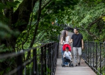 모나용평, 모두가 누릴 수 있는 발왕산, 무장애 천년주목숲길 완공