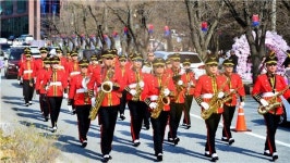 이제 막 피기 시작한 벚꽃명소는 어디?.. 에덴벚꽃길 벚꽃축제 주목