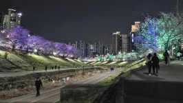 하남시, 당정뜰 산책로 전 구간 보안등 설치 완료…시민 만족도 높여    