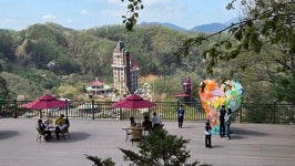 서울에서 50분 거리인데 의외로 몰랐던  벚꽃엔딩 명소이곳.. 에덴벚꽃길 축제 성료