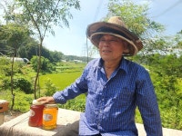 꿀벌 농장의 달콤한 생태학