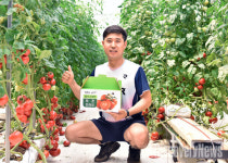 팔당호가 키운 명품 토마토의 향연…퇴촌 3일간 축제도시로 변신