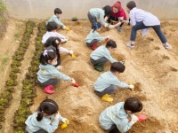 ACA 판교&강남, Earth Day 행사 진행