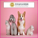 한국심리교육협회 “무료수강 이벤트” 펫시터 관심자에 반려동물관리사 자격증 온라인 강의