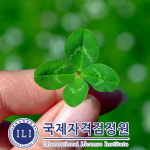 국제자격검정원, 사주 명리학공부 관심자 위한 명리심리상담사 자격증 무료강의