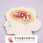 치매, 우울증 예방 무료수강 노인심리상담사 시니어관련 실버자격증, 지도사 및 전문가 교육 제공