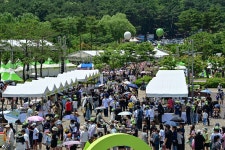 2025 고령 멜빙축제, 지역과 함께한 달콤한 여름의 마무리