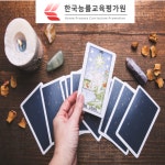 타로카드배우기 및 타로마스터 무료수강...타로심리상담사 자격증 140여개 교육 제공