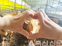 앵글에 담은 친환경 축산…이미지 심는다