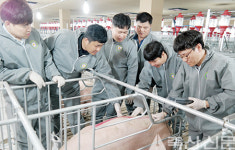 <화제의 현장>한종협 ‘상반기 종돈검정 눈높이 교육’