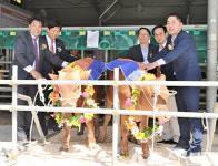 고재익<수송아지>·안상보씨<암송아지> 고능력 밑소 생산 최우수 영예