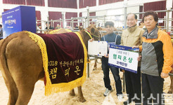 밀양축협, 전국한우경진대회 챔피언상 수상
