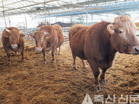 <화제의 현장> 전북 익산시 `한우리농장’