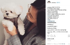 오초희 후폭풍 