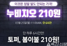 누비지오 가격깡패 