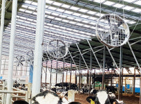 스마트한 더위관리, 농장 수익성 직결 / 하늘-축사용 대형선풍기  ‘헤라클레스’