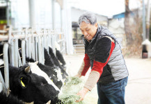 낙농체험목장 탐방 <2>김포 꿈목장