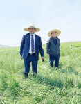 간척지 활용 양질 조사료 생산 ‘박차’