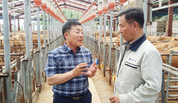 <핫 제품>DH바이탈피드 ‘바이탈 금송아지 프리미엄 사료’