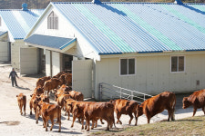 겨울 채비 한우연구소 우공들 ‘집으로’