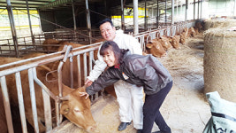 <화제의 현장>전남 고흥 `종신농장’ / 1천130kg 슈퍼한우 출하…몸 값 1천426만원