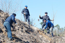 법조인, 6차 양봉산업화 기틀 마련 귀감