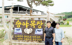 <화제의 현장>경기 여주 송야목장