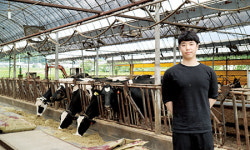 충남 천안 성보목장