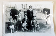 <추억의 앵글>3대째 낙농…경기 ‘순흥목장’의 초창기