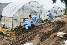 충북방역본부, 남부소와 함께 수해복구 활동